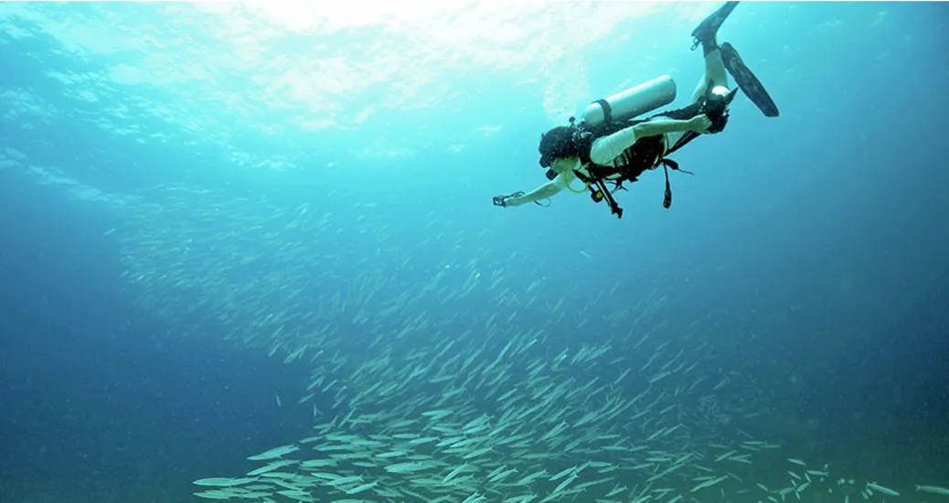Diving Phuket